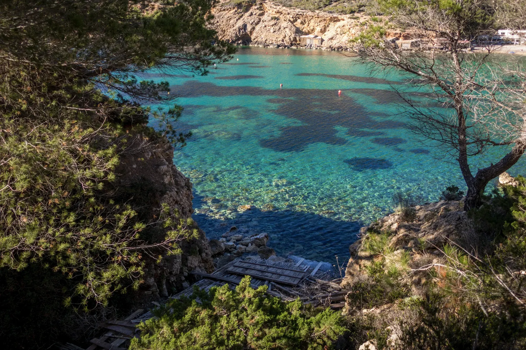 Una petita cala del litoral de Tamariu envoltada de pins